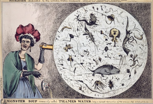 Nineteenth-century caricature revealing the microscopic impurities found in London’s drinking water.